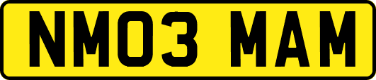NM03MAM