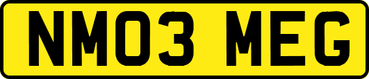 NM03MEG
