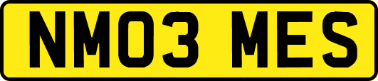 NM03MES