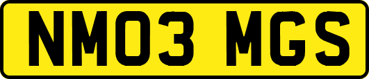 NM03MGS