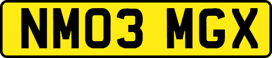 NM03MGX