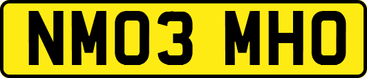 NM03MHO