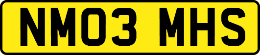 NM03MHS