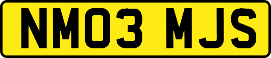 NM03MJS