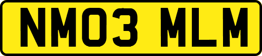 NM03MLM