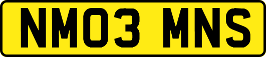 NM03MNS