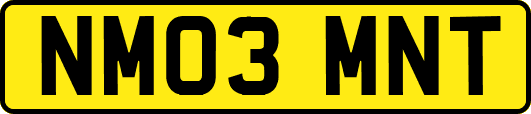 NM03MNT