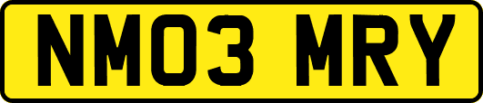 NM03MRY