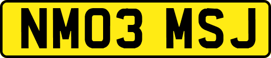 NM03MSJ