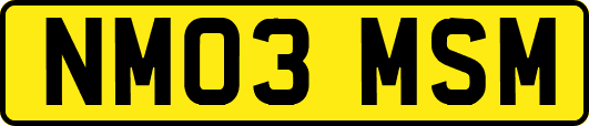 NM03MSM