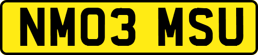 NM03MSU