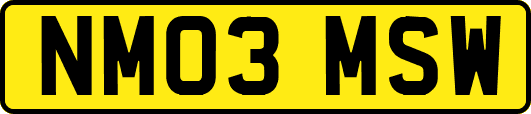 NM03MSW
