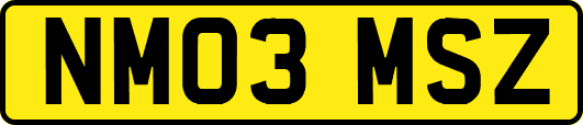 NM03MSZ