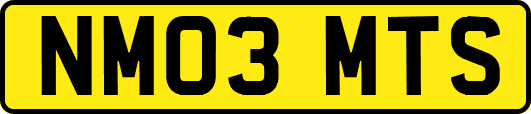 NM03MTS