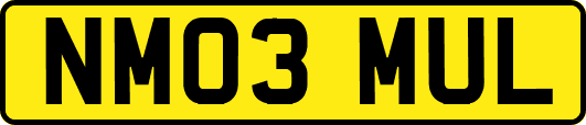 NM03MUL