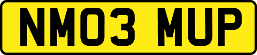 NM03MUP