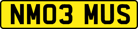 NM03MUS