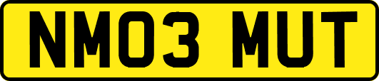 NM03MUT