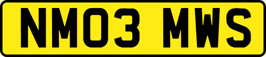 NM03MWS