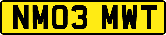 NM03MWT