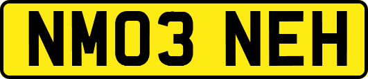NM03NEH