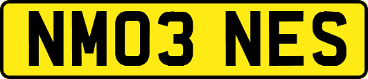 NM03NES