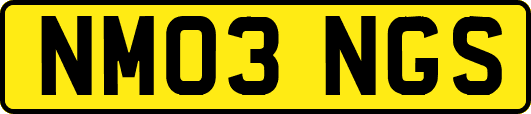 NM03NGS