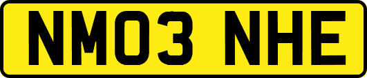 NM03NHE