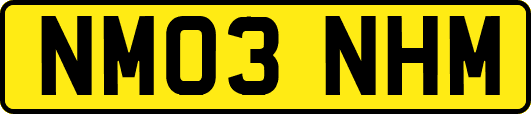 NM03NHM