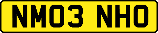 NM03NHO