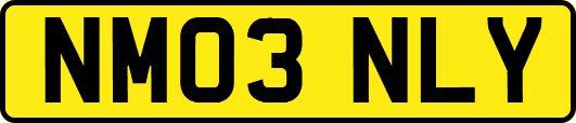 NM03NLY