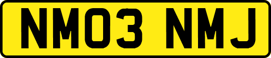 NM03NMJ