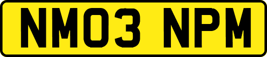 NM03NPM