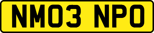NM03NPO
