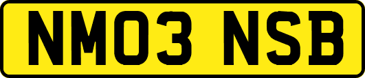 NM03NSB