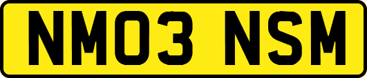NM03NSM