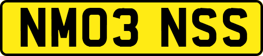 NM03NSS