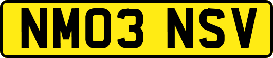 NM03NSV