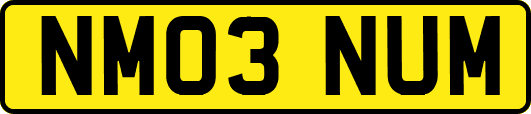 NM03NUM