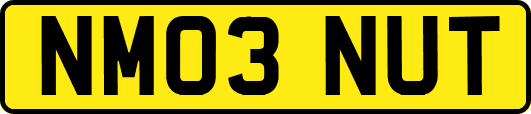 NM03NUT