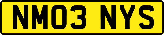 NM03NYS
