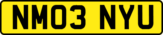 NM03NYU