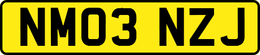 NM03NZJ