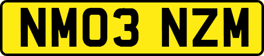 NM03NZM