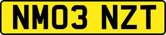 NM03NZT