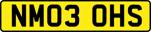 NM03OHS