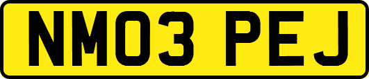 NM03PEJ