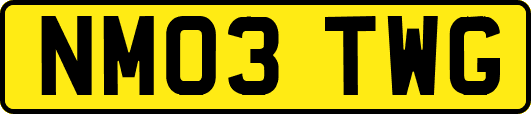 NM03TWG