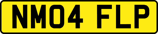 NM04FLP