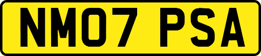 NM07PSA